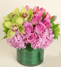 Load image into Gallery viewer, <b>Stylish Mixed</b><br>-All Sizes