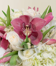 Load image into Gallery viewer, <b>Stylish Mixed</b><br>-All Sizes