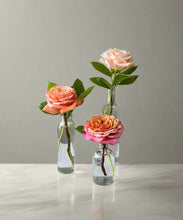 Load image into Gallery viewer, <b>Citrus Sunset<BR>Palette</b><BR>(Coral, Blush, Peach, Pink)<BR><BR>-Pick Your Item