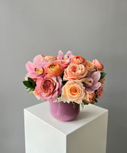 Load image into Gallery viewer, <b>Stylish Mixed</b><br>-All Sizes