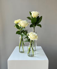 Load image into Gallery viewer, <b>Champagne Cream<BR>Palette</b><BR>(Neutrals, White Ivory, Nude, Blush)<BR><BR>-Pick Your Item