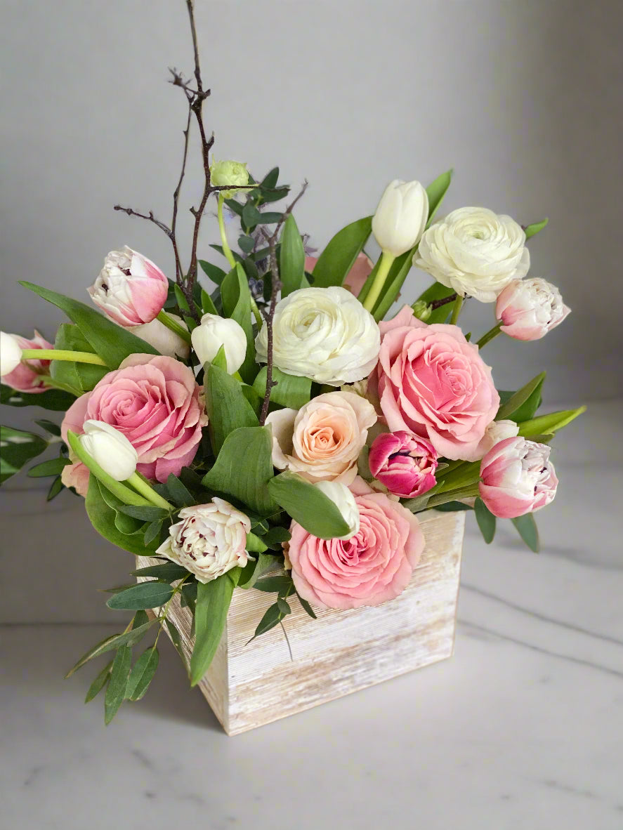 <b>Stylish Mixed</b><br>-All Sizes