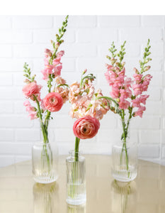 Centerpiece- bud vase collection