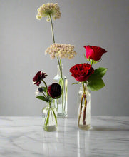 Load image into Gallery viewer, &lt;b&gt;Burgundy Noir&lt;BR&gt;Palette&lt;/b&gt;&lt;BR&gt;(Red, Dark Red, Deep Plum)&lt;BR&gt;&lt;BR&gt;-Pick Your Item
