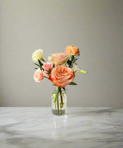 <b>Citrus Sunset<BR>Palette</b><BR>(Coral, Blush, Peach, Pink)<BR><BR>-Pick Your Item