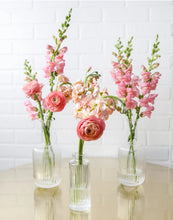 Load image into Gallery viewer, &lt;b&gt;Designer&#39;s Choice&lt;BR&gt;Palette&lt;/b&gt;&lt;BR&gt;&lt;BR&gt;-Pick Your Item (Copy)
