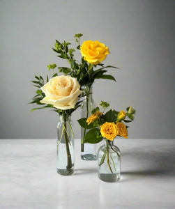 <b>Lemon Buttercream<BR>Palette</b><BR>(White, Ivory, Shades of Yellow)<BR><BR>-Pick Your Item