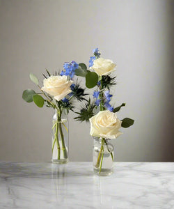 <b>Sky<BR>Palette</b><BR>(White to Light Blue)<BR><BR>-Pick Your Item