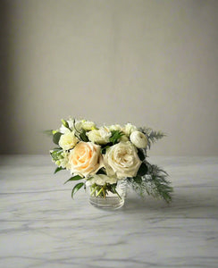 <b>Champagne Cream<BR>Palette</b><BR>(Neutrals, White Ivory, Nude, Blush)<BR><BR>-Pick Your Item