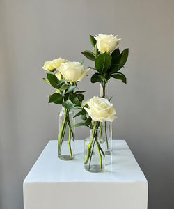 <b>Champagne Cream<BR>Palette</b><BR>(Neutrals, White Ivory, Nude, Blush)<BR><BR>-Pick Your Item