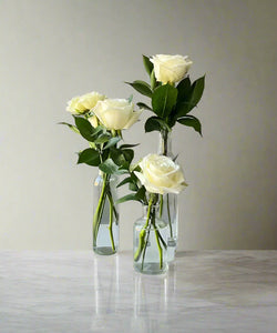 <b>Garden Blanc<BR>Palette</b><BR>(White & Green)<BR><BR>-Pick Your Item