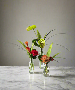<b>Tropical Elegance<BR>Palette</b><BR><BR>-Pick Your Item
