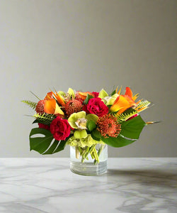 <b>Tropical Elegance<BR>Palette</b><BR><BR>-Pick Your Item