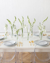Load image into Gallery viewer, &lt;b&gt;Champagne Cream&lt;BR&gt;Palette&lt;/b&gt;&lt;BR&gt;(Neutrals, White Ivory, Nude, Blush)&lt;BR&gt;&lt;BR&gt;-Pick Your Item
