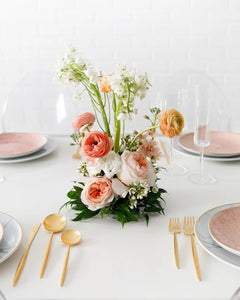 <b>Citrus Sunset<BR>Palette</b><BR>(Coral, Blush, Peach, Pink)<BR><BR>-Pick Your Item