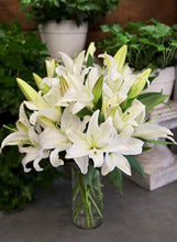 Load image into Gallery viewer, The Timeless Lily
