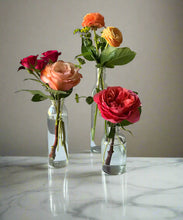 Load image into Gallery viewer, &lt;b&gt;Raspberry Sorbet&lt;BR&gt;Palette&lt;/b&gt;&lt;BR&gt;(Medium to Hot Pink)&lt;BR&gt;&lt;BR&gt;-Pick Your Item
