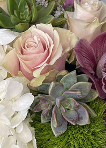 <b>Designer's Choice</b><BR>-Pick Your Budget