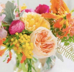 3 Month Bloom Bundle Billed Monthly