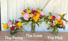 Load image into Gallery viewer, 5 Month Bloom Bundle | The Luxe
