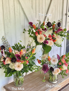 The Luxe | Bi-Weekly Subscription | Paid Yearly [11.21]