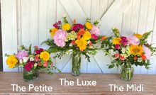 Load image into Gallery viewer, The Petite | Bi-Weekly Subscription | Paid Quarterly [11.21]
