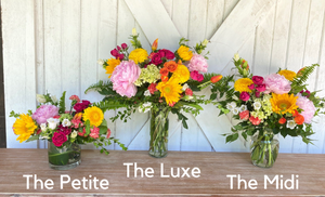 The Petite | Monthly Subscription | Paid Quarterly